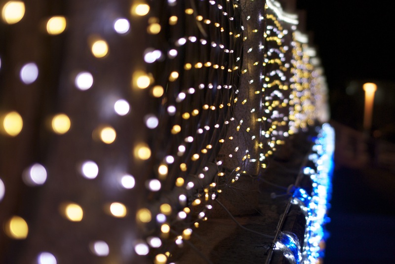 NikonD60+SIGMA50mmF1.4�²λ��������ѥ��󥺥ۥƥ�