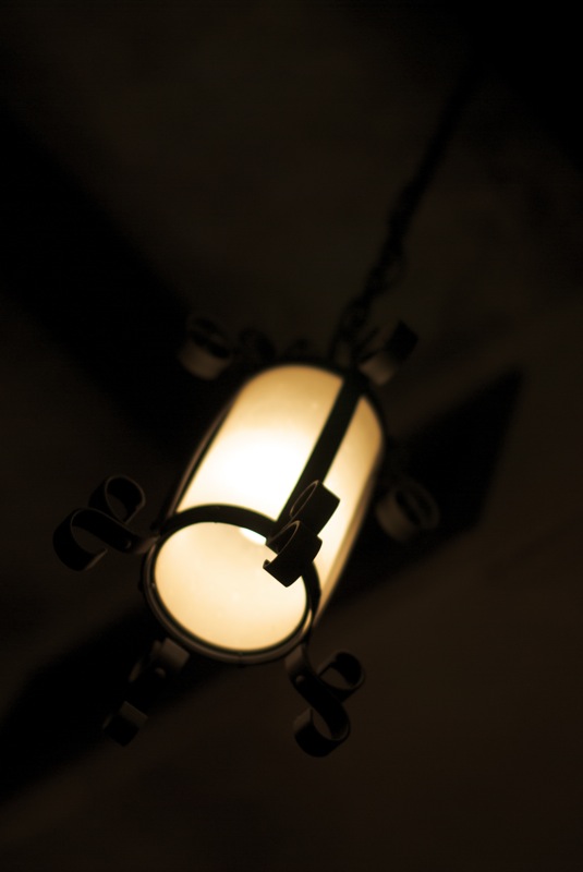 Nikon D60 + SIGMA 50mm F1.4 ������ǥ����ˡ�������