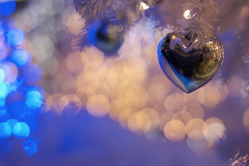 NikonD60+SIGMA50mmF1.4 ����Illumination09-10