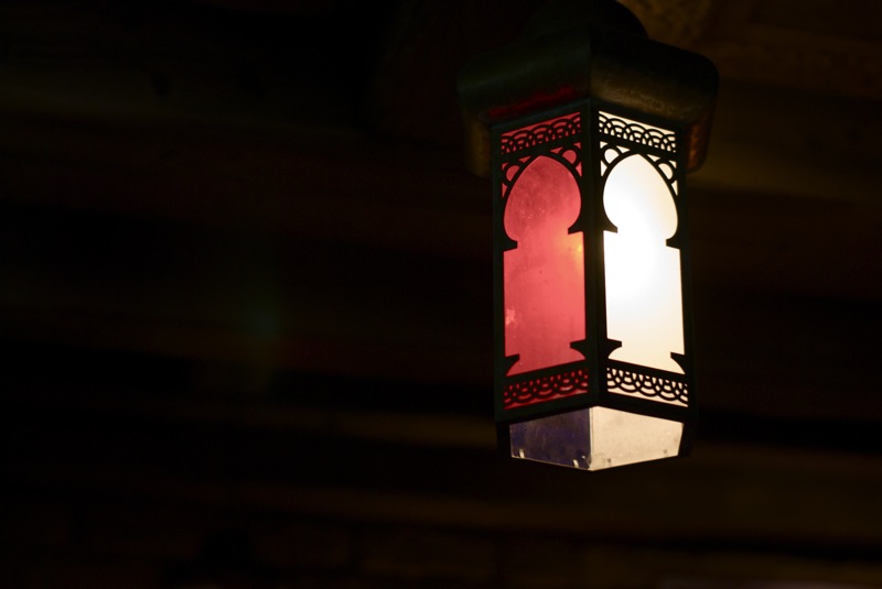 Nikon D60 + SIGMA 50mm F1.4 ������ǥ����ˡ�����������ӥ��󥳡����ȡ�����ɥХåȡ����ȡ��꡼�֥å���������å���