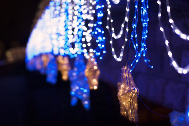 NikonD60+SIGMA50mmF1.4�²λ��������ѥ��󥺥ۥƥ�