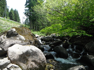 DSCF0163