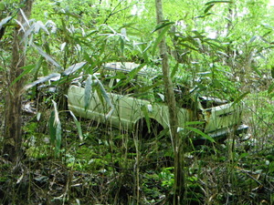 DSCF0197