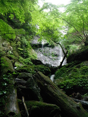 DSCF0188
