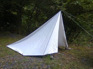 TS3Q00850001