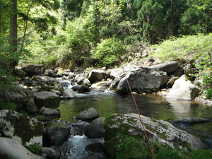 DSCF0161