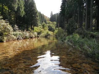 DSCF0022
