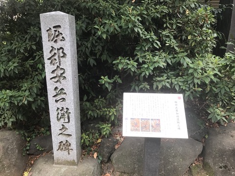 決闘!高田馬場 SHOCHIKU STORE | 松竹ストア決闘！高田馬場 [DVD]: 松竹DVD