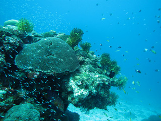 sIMG_3536