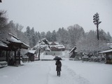 Dscf8146