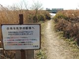 img_206645_8218644_0