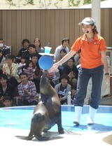Dscf8605