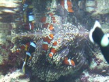 Dscf8704