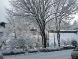 Dscf8155