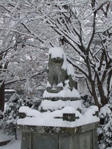Dscf8152