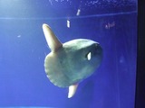 Dscf8665
