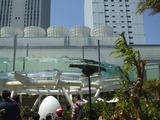 Dscf8589