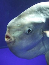Dscf8672