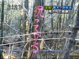 樹海に残された恐怖のメッセージ