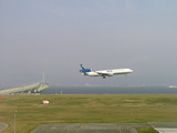 05a878c0.JPG