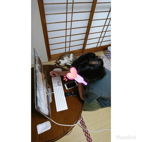 PhotoGrid_1531128439344