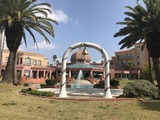 IMG_1859