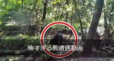 クマに襲われた人の動画