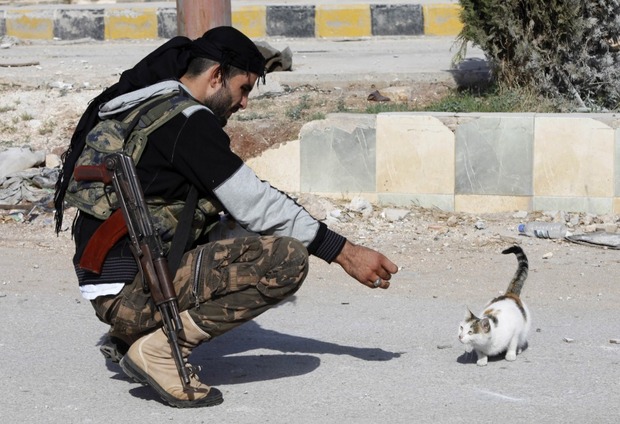 reuters_syria_war_animal_11Nov12-975x666