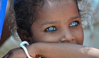 青い目の人たちの画像集
