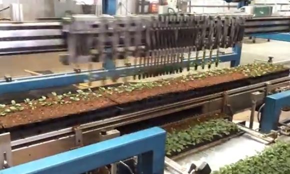 植物を作るロボット