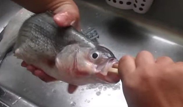 魚の内臓を取る方法