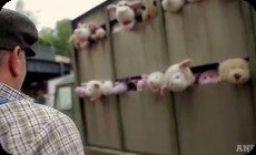 バンクシー,PETA