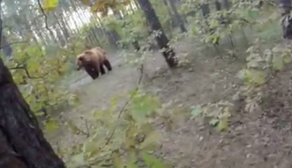 クマに追われる自転車ライダー