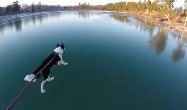 スウェーデンの凍った湖を散歩