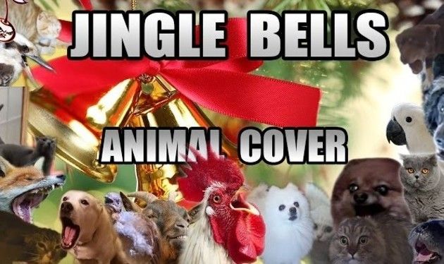 動物鳴き声クリスマスソング