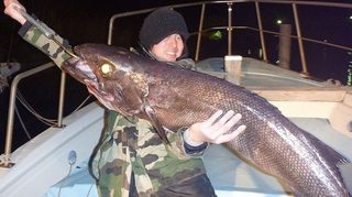 巨大魚、ラブカ、深海魚食べてみた、画像