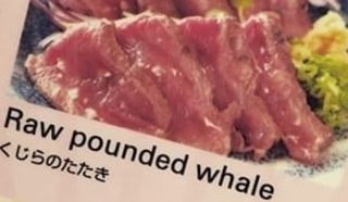 アリアナ・グランデのクジラ肉の写真