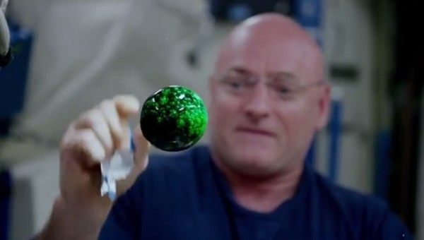 宇宙の無重力空間で水玉に色を付ける実験