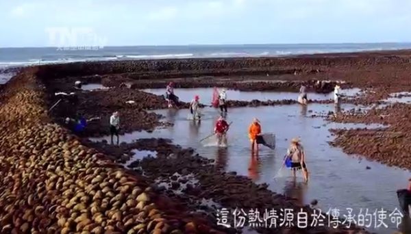 干満を利用した台湾の漁法