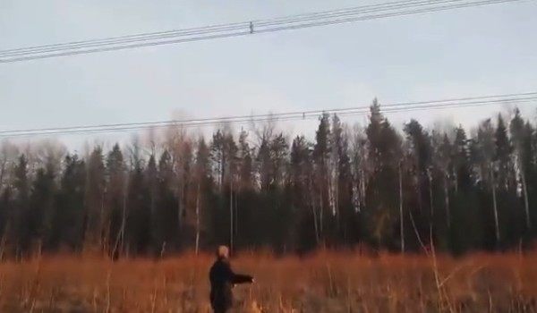 ロシアの危険すぎる高圧電線の遊び