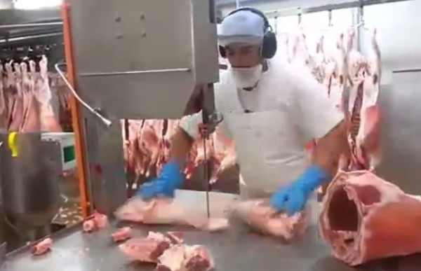 豚肉をカットする仕事