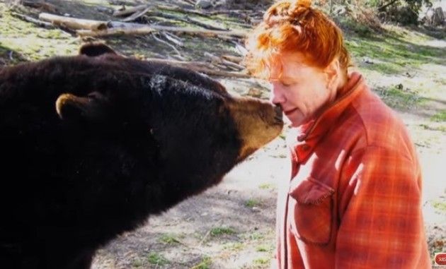 クマやオオカミによる獣害事件ドキュメンタリー