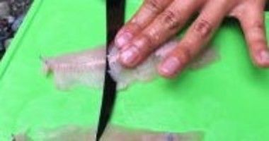 淡水魚の刺身