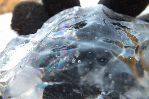 2012-02-05_10-07-34