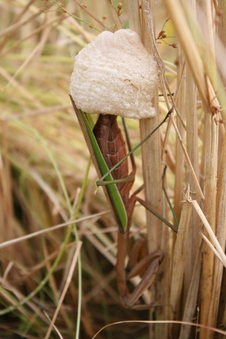 2011_1020_110410