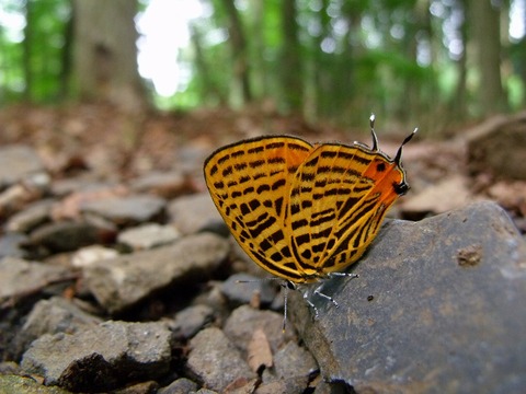2011_0624_100952