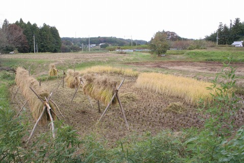 2011_1021_124740