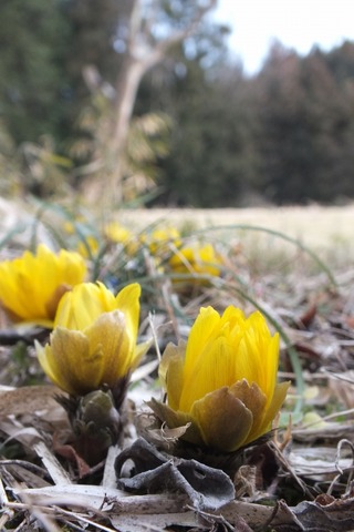 2012-02-05_16-04-54
