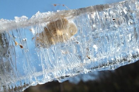 2012-02-05_10-00-58