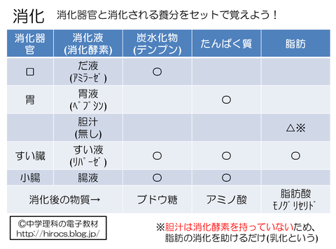 解説　消化